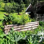 Forsthof Фермерский дом