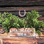 Фермерский дом Forsthof *
