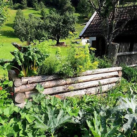 Forsthof Farm stay