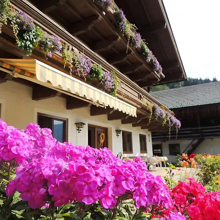 Alloggio per agriturismo Forsthof *