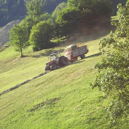 Alloggio per agriturismo Forsthof