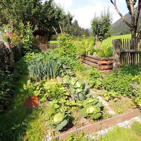 Farm stay Forsthof Maishofen