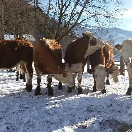 Farmház Forsthof *