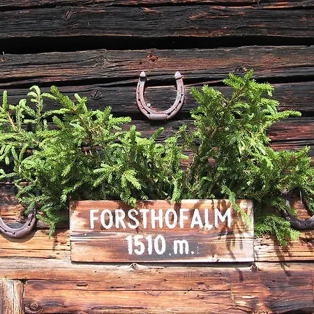 Farmház Forsthof *