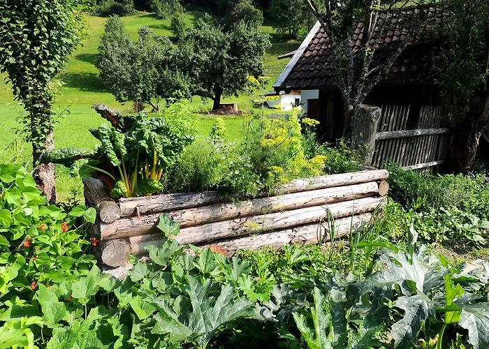 福尔斯多佛旅馆 农家乐