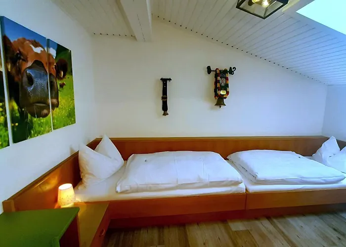 福尔斯多佛旅馆 农家乐 *