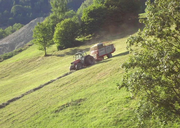 农家乐 福尔斯多佛旅馆