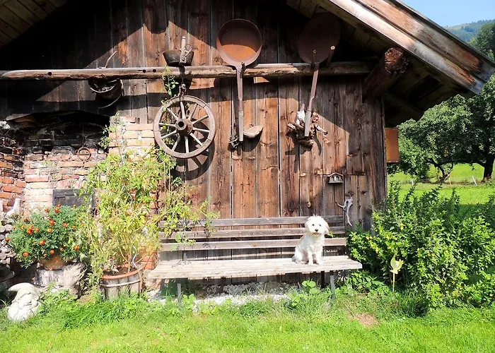 Forsthof Séjour à la ferme *