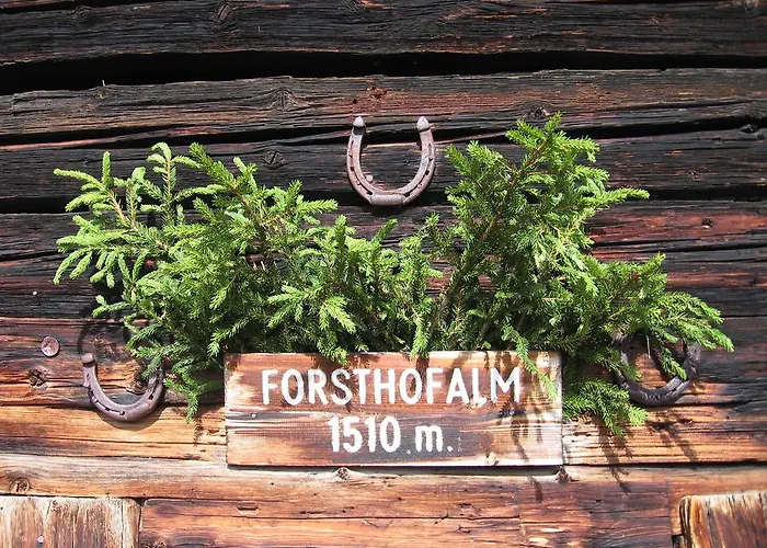 Κατάλυμα σε φάρμα Forsthof *